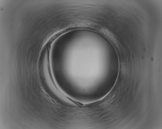 X0000083610676200702201250