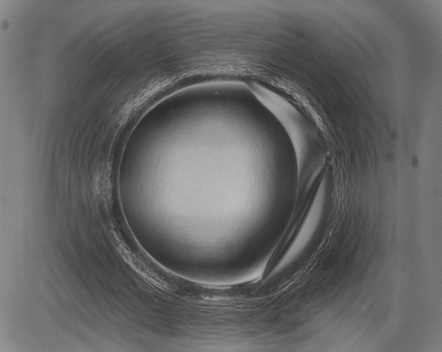 X0000083610677200702201250