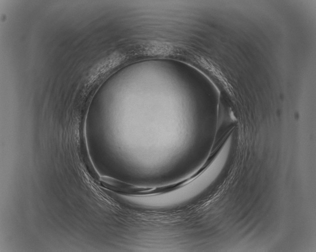 X0000083610681200702201250