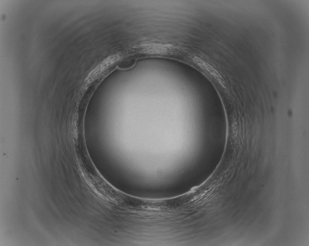 X0000083610682200702201250