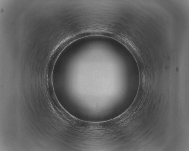 X0000083610684200702201250