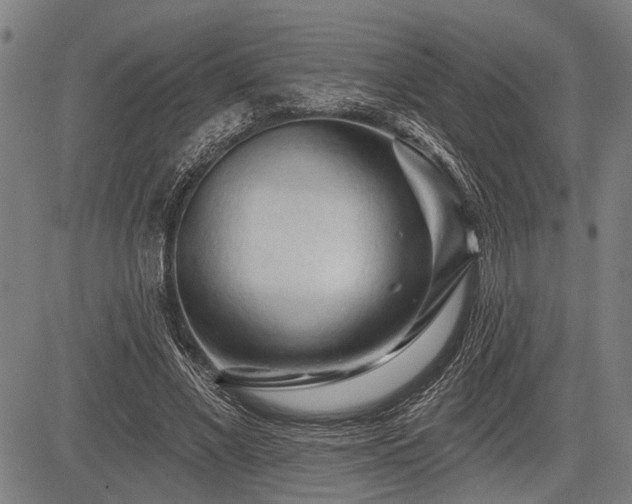 X0000083610685200702201250