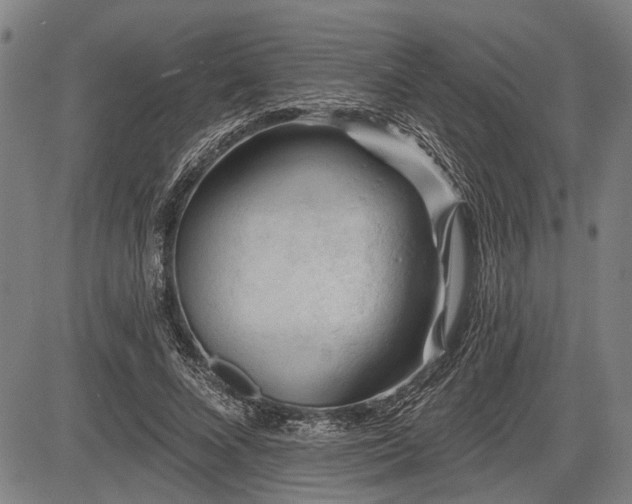 X0000083610688200702201250