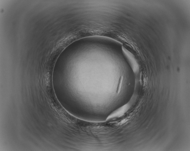 X0000083610689200702201250