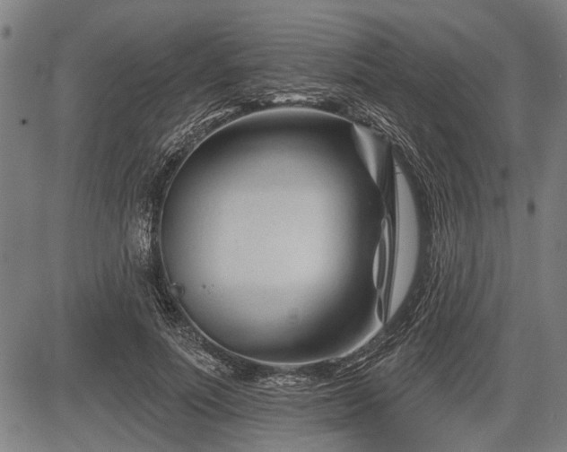 X0000083610691200702201250