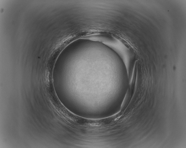 X0000083610692200702201250