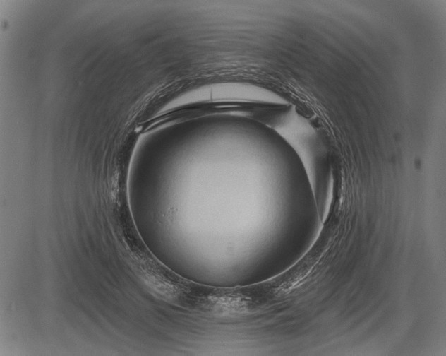 X0000083610693200702201250