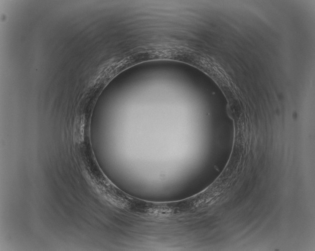 X0000083610694200702201250