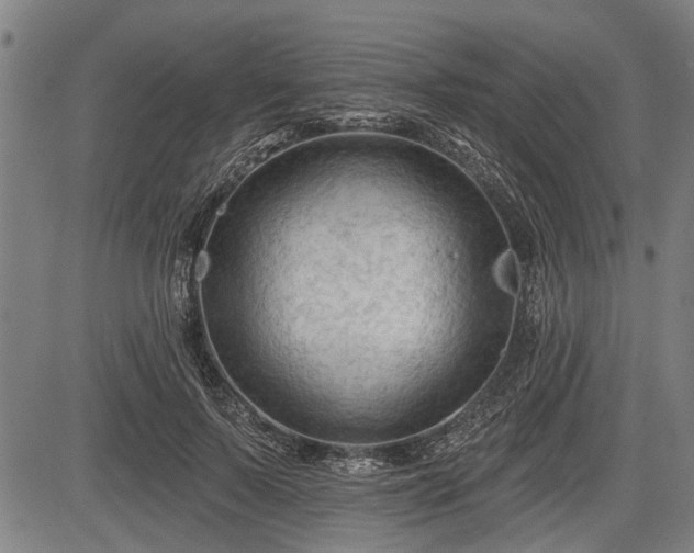 X0000083610695200702201250