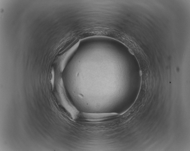 X0000083610696200702201250