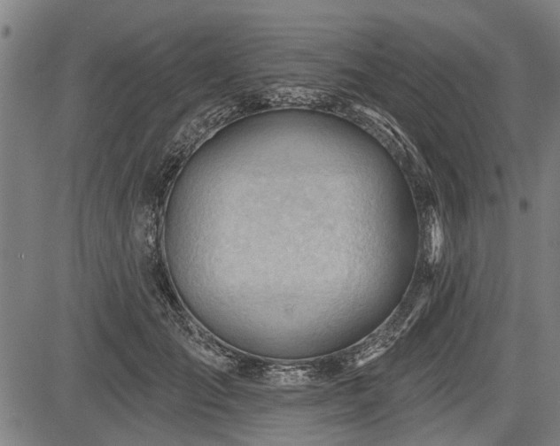 X0000083610701200702201250