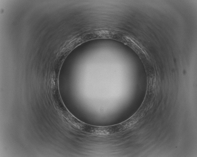 X0000083610702200702201250