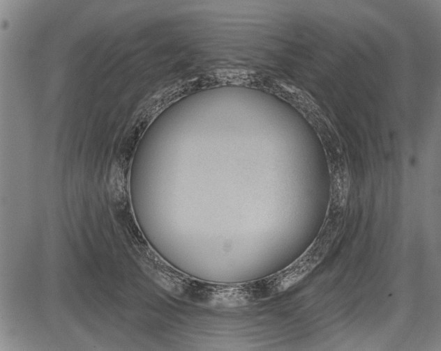 X0000083610705200702201250