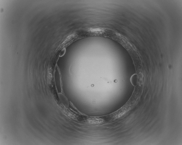 X0000083610707200702201250