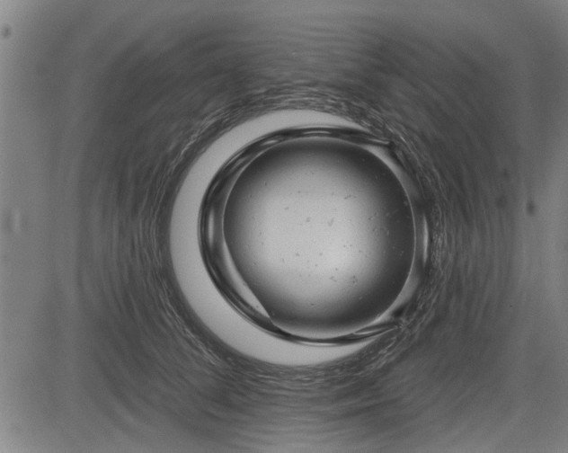 X0000083610708200702201250