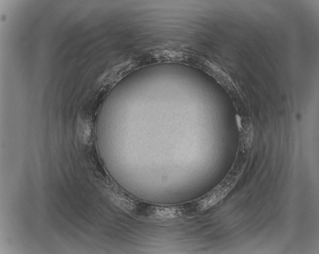 X0000083610709200702201250