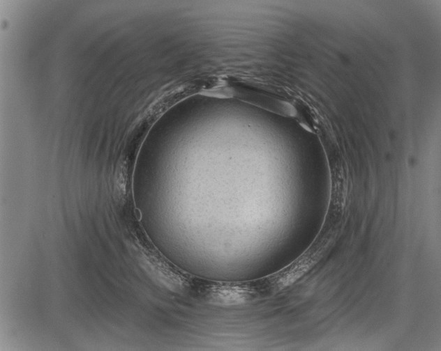 X0000083610710200702201250