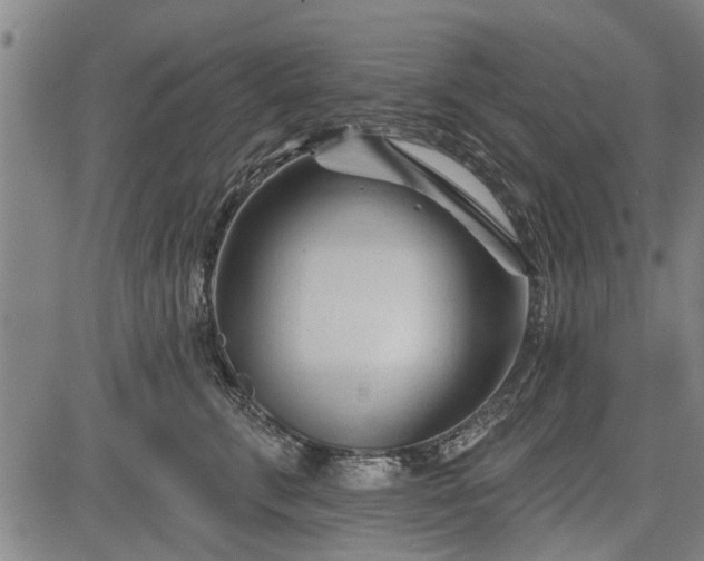 X0000083610711200702201250