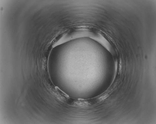 X0000083610712200702201250