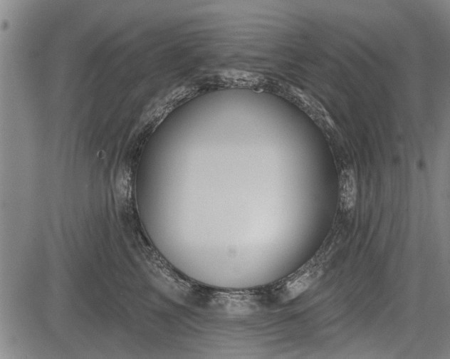 X0000083610713200702201250