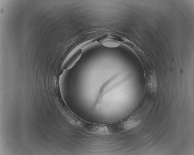 X0000083610715200702201250