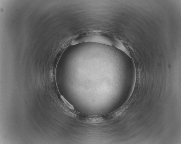 X0000083610716200702201250