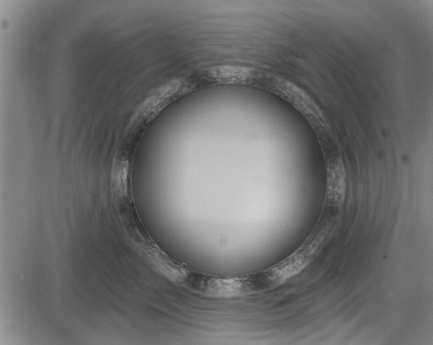 X0000083610717200702201250