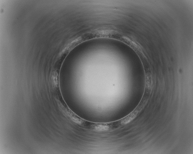 X0000083610718200702201250