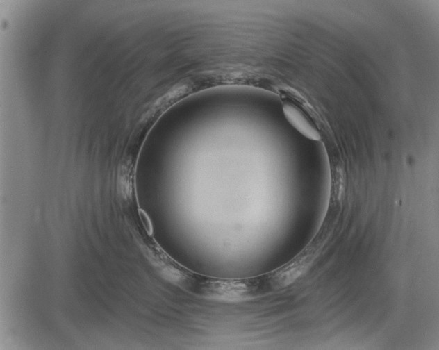 X0000083610719200702201250