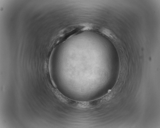 X0000083610720200702201250