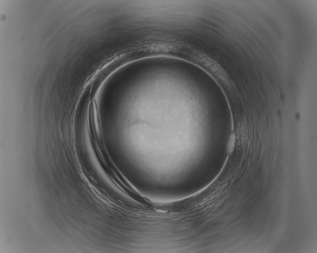 X0000083610722200702201249