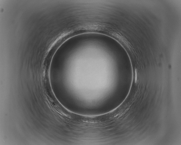 X0000083610723200702201249