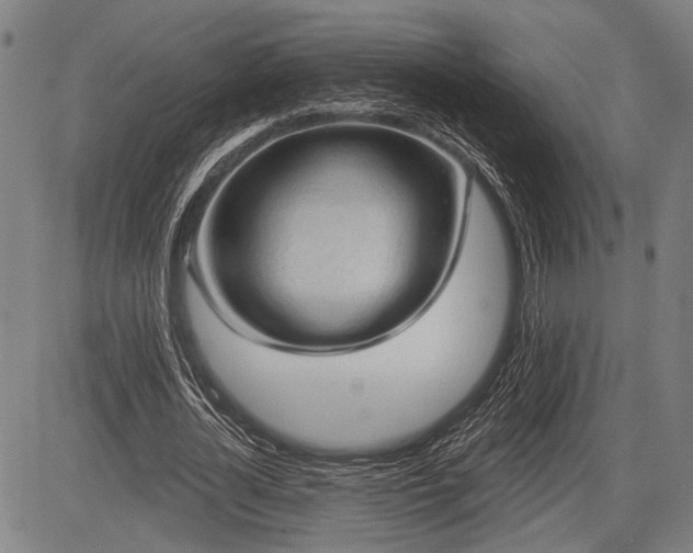 X0000083610724200702201249