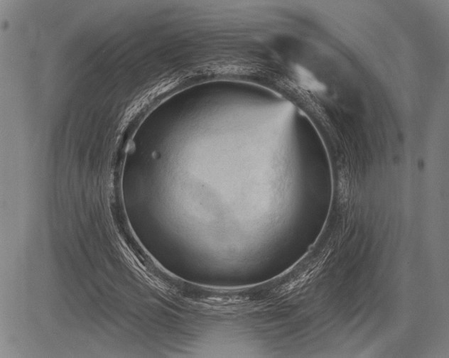 X0000083610725200702201249