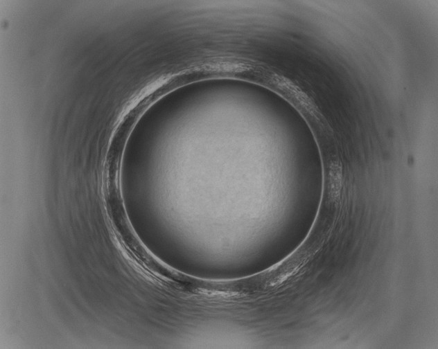 X0000083610726200702201249