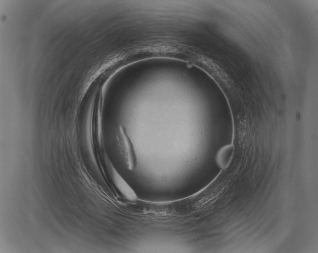 X0000083610727200702201249