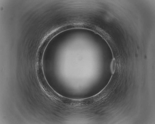 X0000083610728200702201249