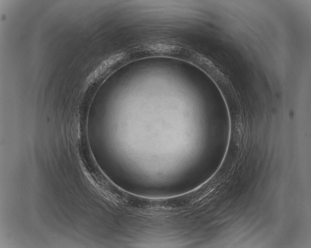 X0000083610734200702201249