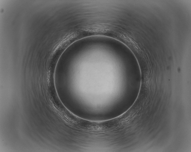 X0000083610735200702201249