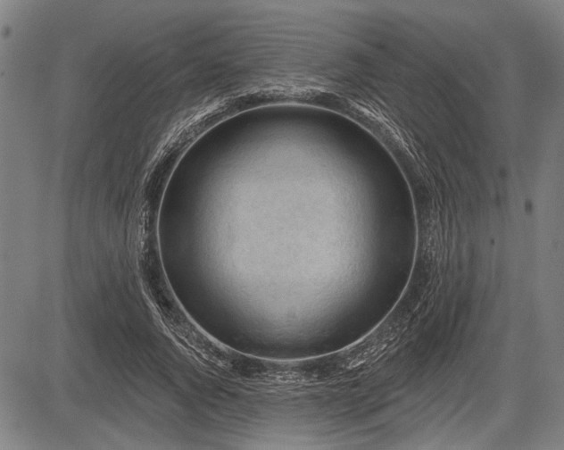 X0000083610736200702201249