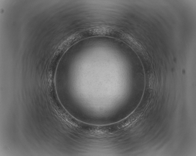 X0000083610737200702201249