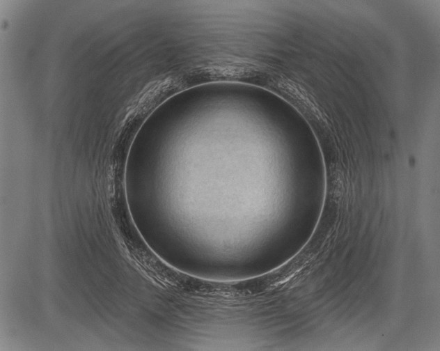 X0000083610738200702201249