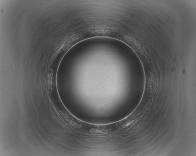 X0000083610739200702201249