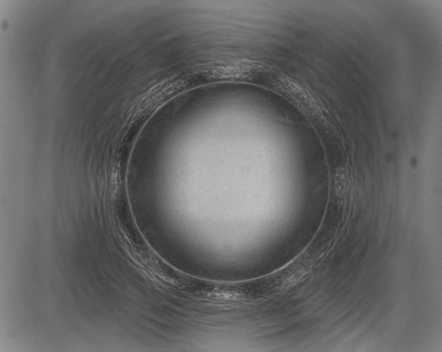 X0000083610741200702201249