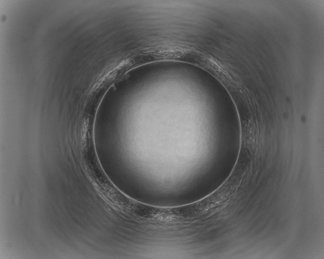 X0000083610742200702201249