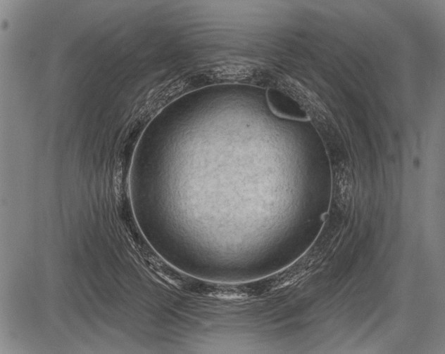 X0000083610745200702201249