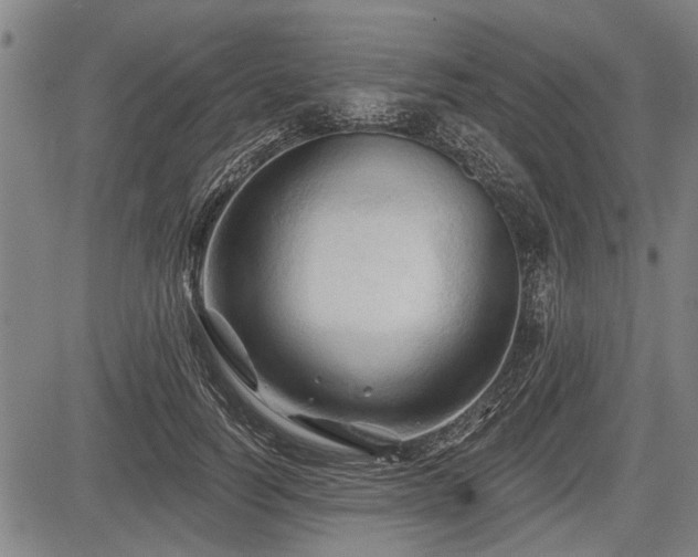 X0000083610746200702201249