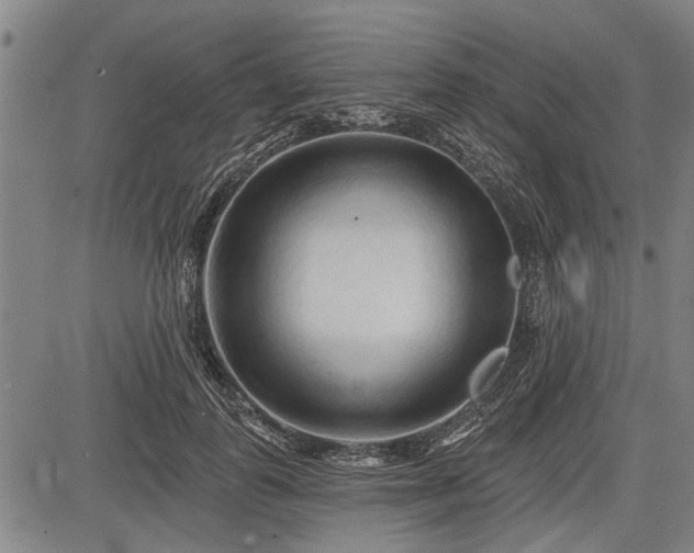 X0000083610747200702201249