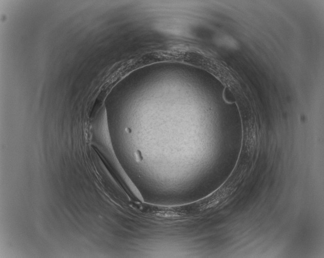 X0000083610749200702201249