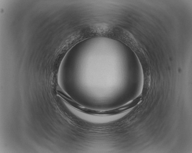 X0000083610750200702201249